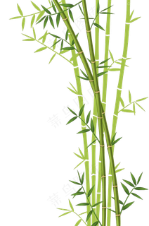 PNG 绿色竹子 