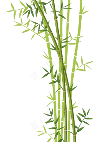 PNG 绿色竹子 