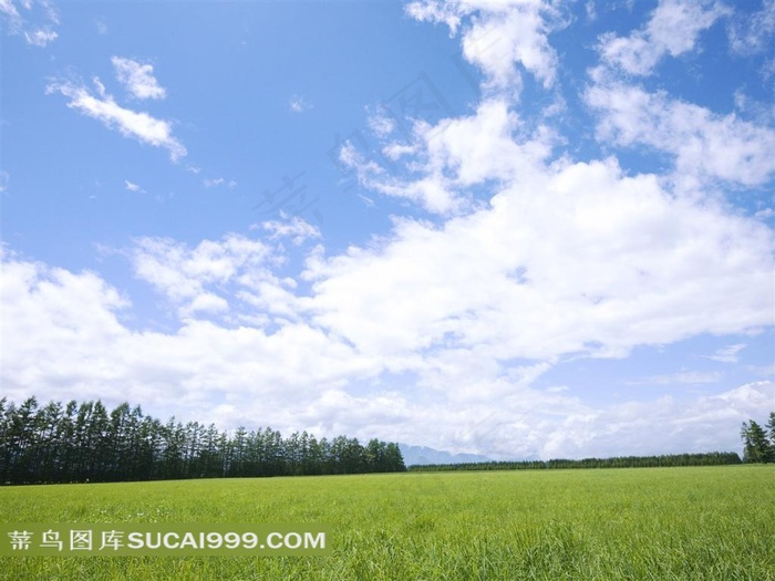 蓝天白云绿色田野高清壁纸