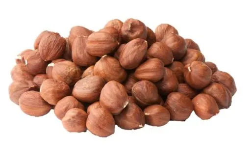 榛子 PNG免抠(1500x973)