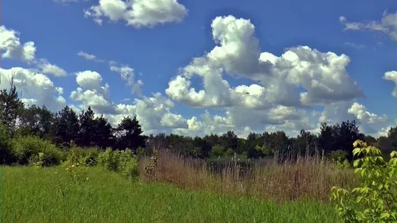 云, 夏天, 直升机, 蓝天, 一天, 自然, 森林, 景观