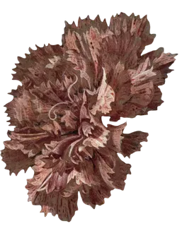 复古油画质感宫廷花卉植物花朵鲜花拼贴图案PNG免抠图片设计素材