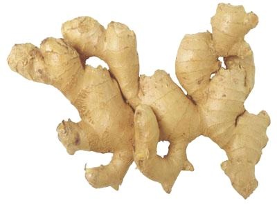 生姜 PNG免抠(400x300)