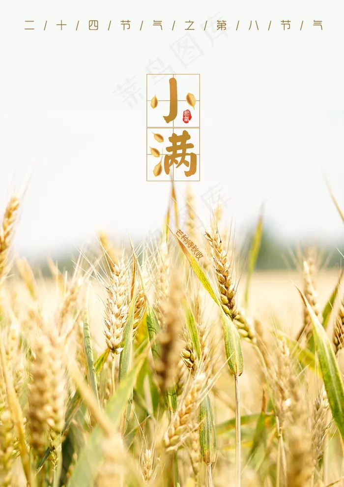 小满节气海报psd模版下载