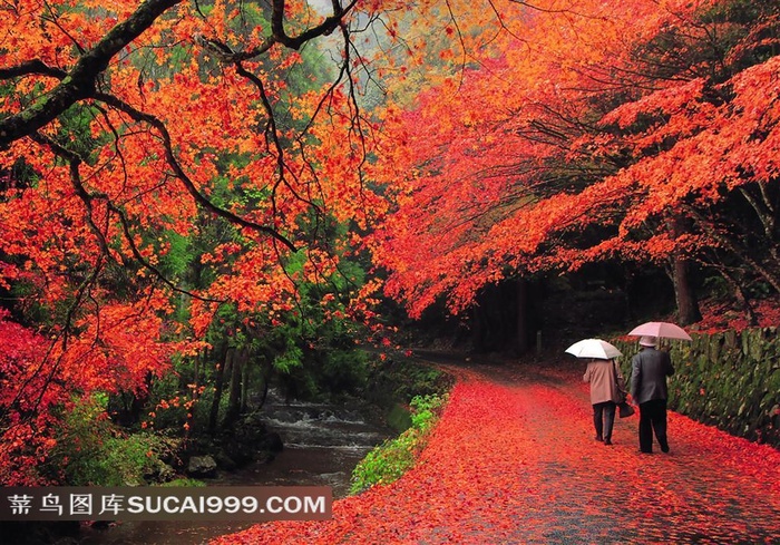 日本佛通寺参道