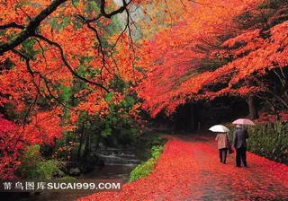 日本佛通寺参道
