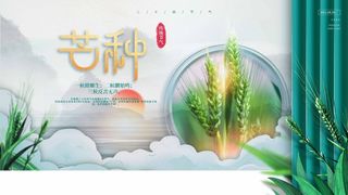 芒种 芒种营销设计