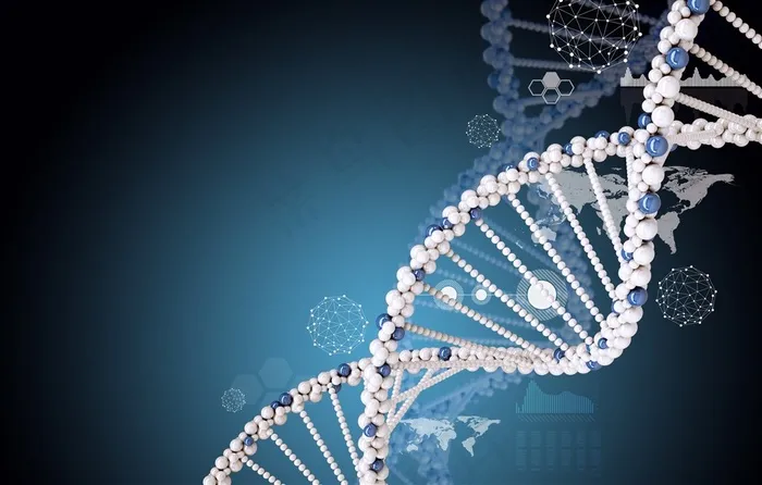 DNA分子结构