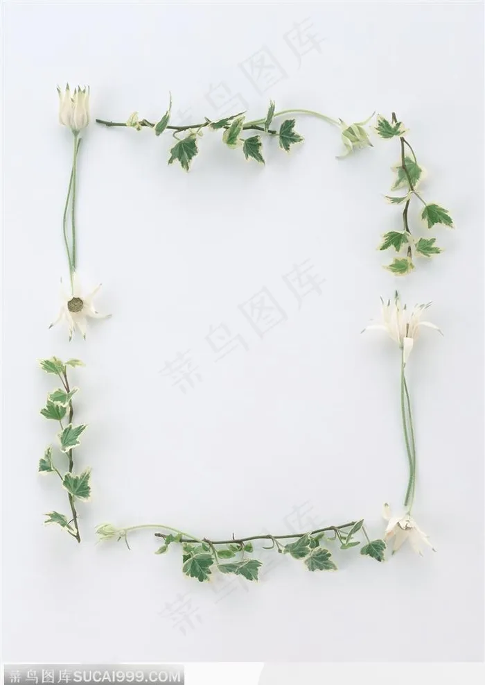 相框边框-精美的鲜花边框
