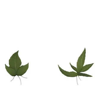 叶子绿叶花草免抠