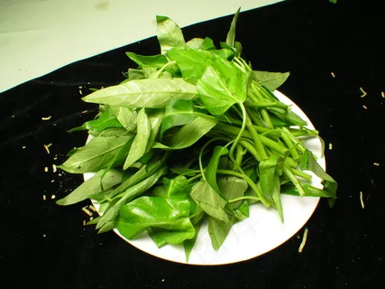 空心菜   空心菜