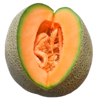 51_melon_PNG14370