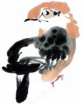 国画鸟欣赏花美图素材