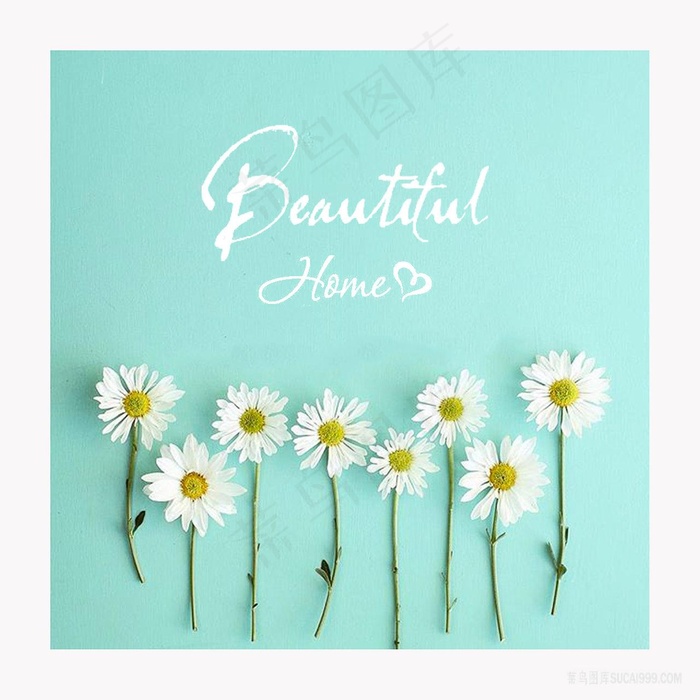 小白花时尚装饰画