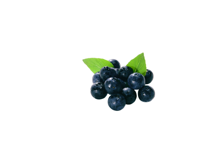 一支蓝莓素材实拍免扣素材