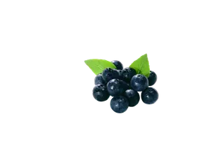 一支蓝莓素材实拍免扣素材