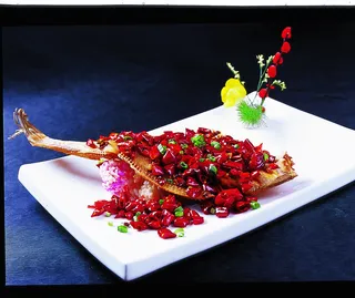 CXC01832江湖马面鱼48