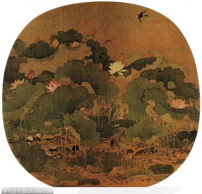 花鸟篇-美丽的荷糖