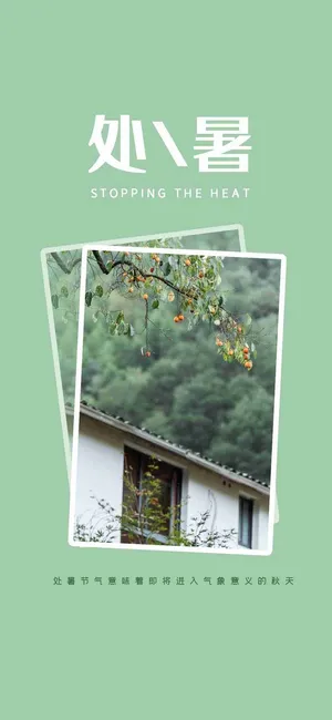 简洁清新处暑手机海报