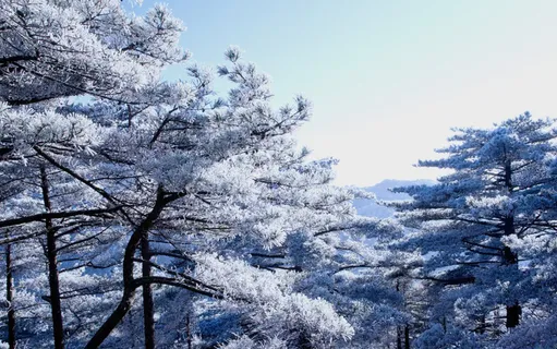 黄山雾凇图片-第10张 黄山雾凇图片-第10张