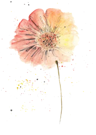 中国风国画水墨花卉素材