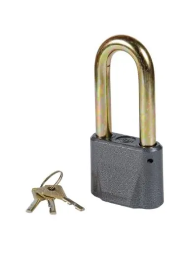 挂锁 PNG免抠(1000x1340)