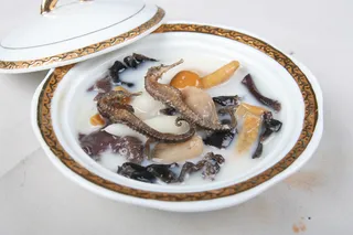 31珍菌炖海马 定州江苏