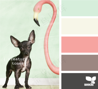 动物配色色卡色彩搭配