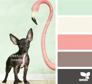 动物配色色卡色彩搭配