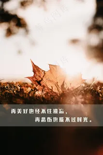 意境很美的带文字图片 意境很美的带文字图片