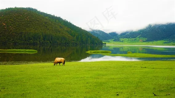 香格里拉春天景色