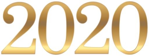 2020 年 PNG免抠(600x228)