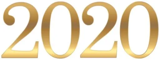 2020 年 PNG免抠(600x228)