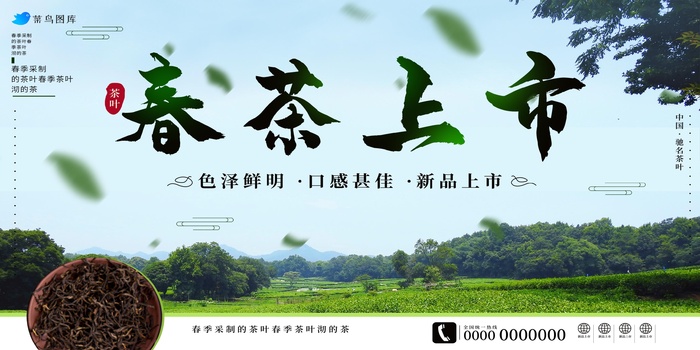 绿色 春天茶叶 茶叶宣传海报psd模版下载
