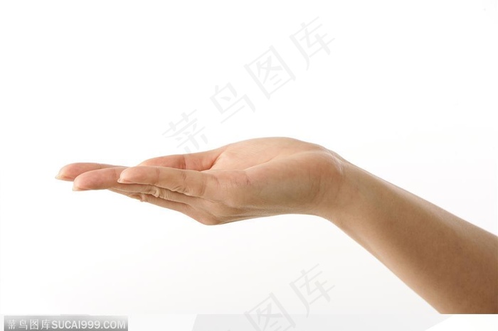 手势喻意-右手接物