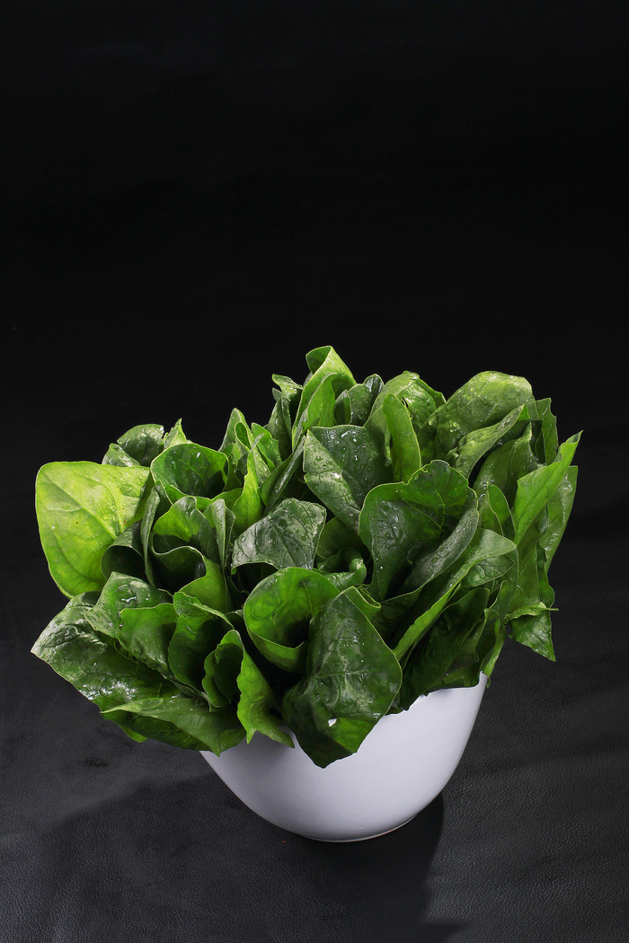 菠菜0 (2)