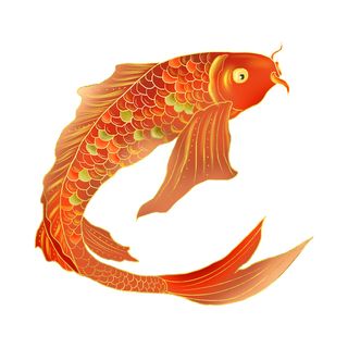 手绘烫金国潮中国风卡通锦鲤鱼金鱼插画装饰元素PSD设计素材