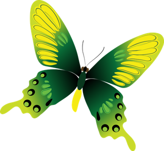 卡通动画动画蝴蝶免扣PNG手绘插画图片素材 (148)