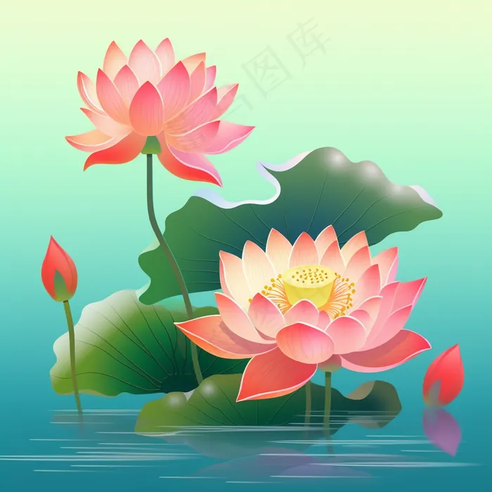 荷花莲花荷叶盛开卡通插画(3072x3072)
