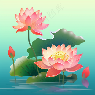 荷花莲花荷叶盛开卡通插画