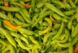 青色尖辣椒图片