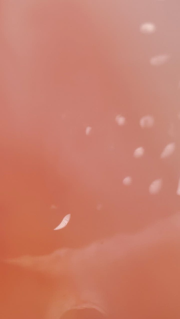 详细查看充满活力的粉红色抽象水