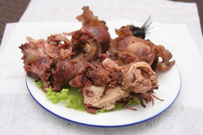驴眼 (1)