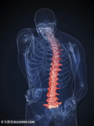 背部疼痛的人物高清图片