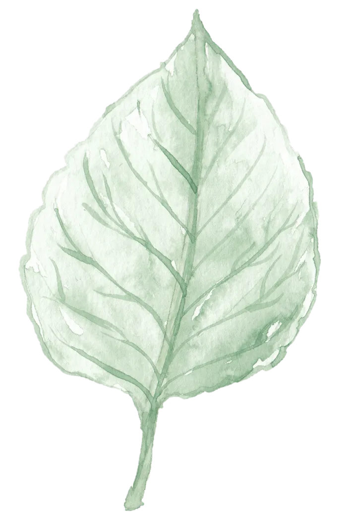 唯美森系手绘水彩花朵 免抠