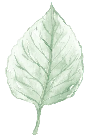 唯美森系手绘水彩花朵 免抠