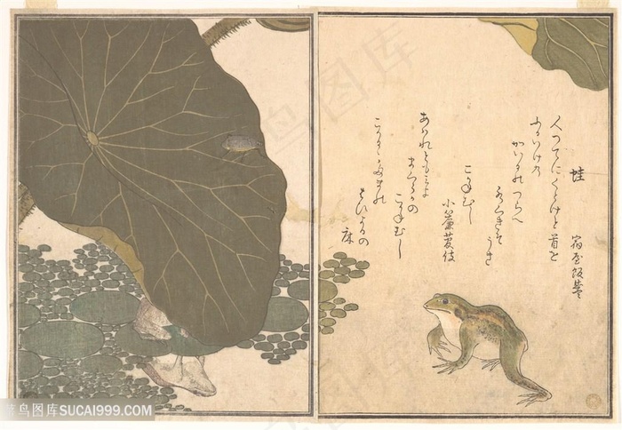 日本浮世绘喜多川歌麿荷叶青蛙装饰画