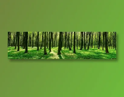 绿色树林风景 绿色树林风景