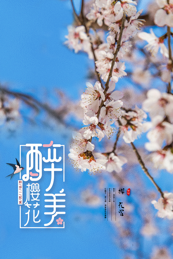 春季旅游清新创意樱花节海报 psd模版下载