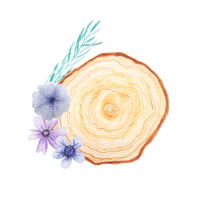 树桩卡通花朵